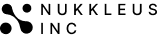 Nukkleus Group official logo in black.