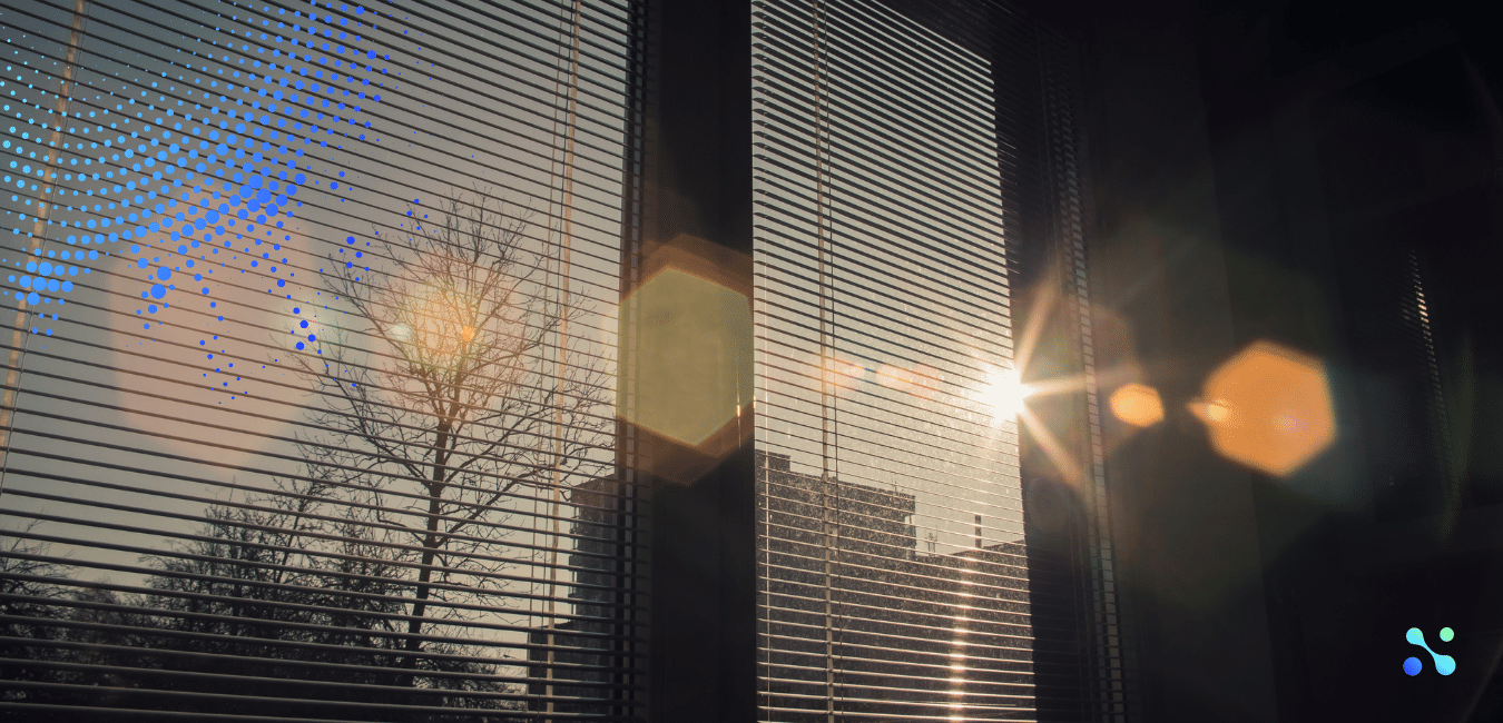 Sunlight shining through blinds onto trees and city buildings, symbolizing clarity and transparency.